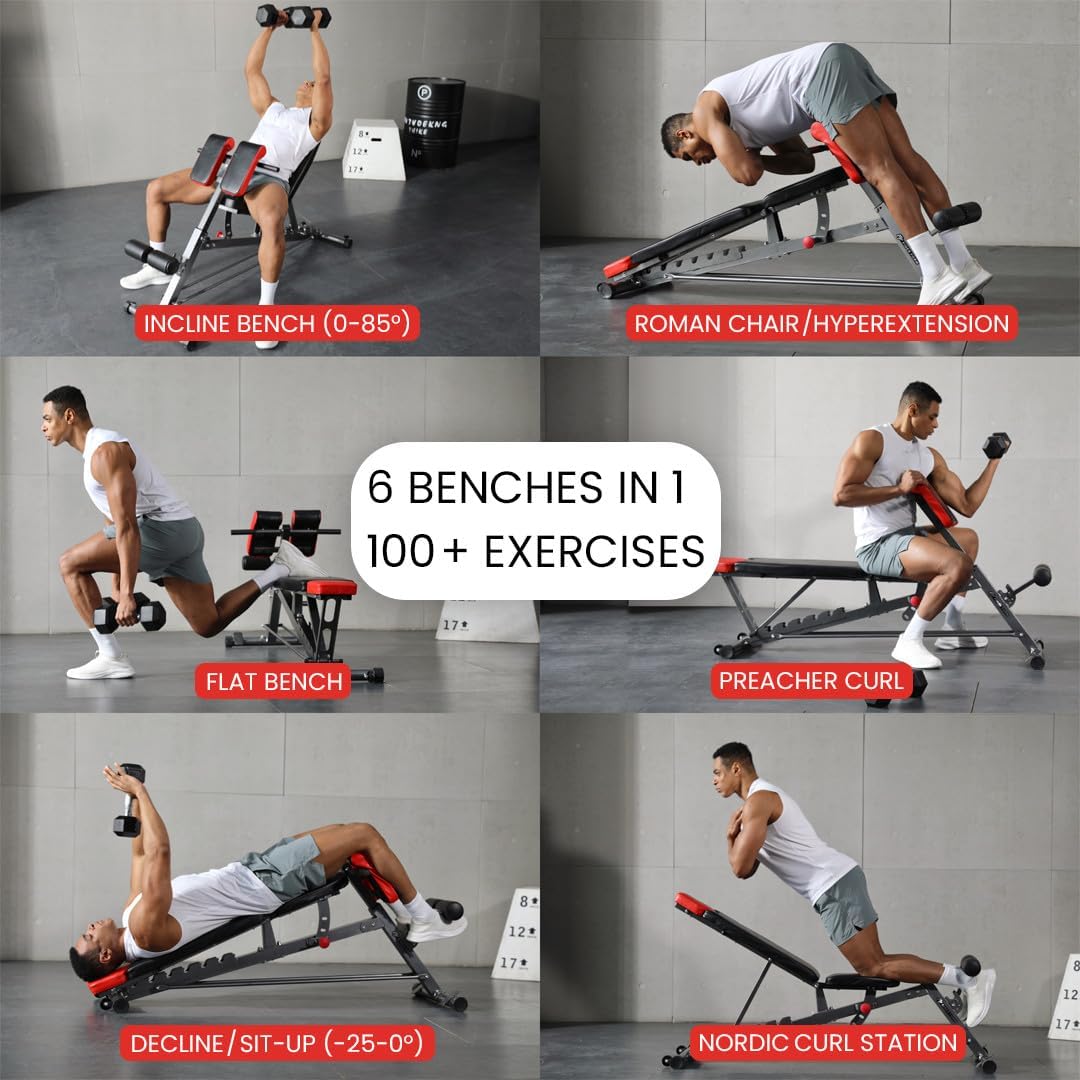 Finer Form Multi-Functional Adjustable FID Weight Bench and Roman Chair | 1,000 Lb Capacity, 23 Settings, Flat Incline Decline for Total Body Workouts, Transport Wheels, Exercise Chart Included